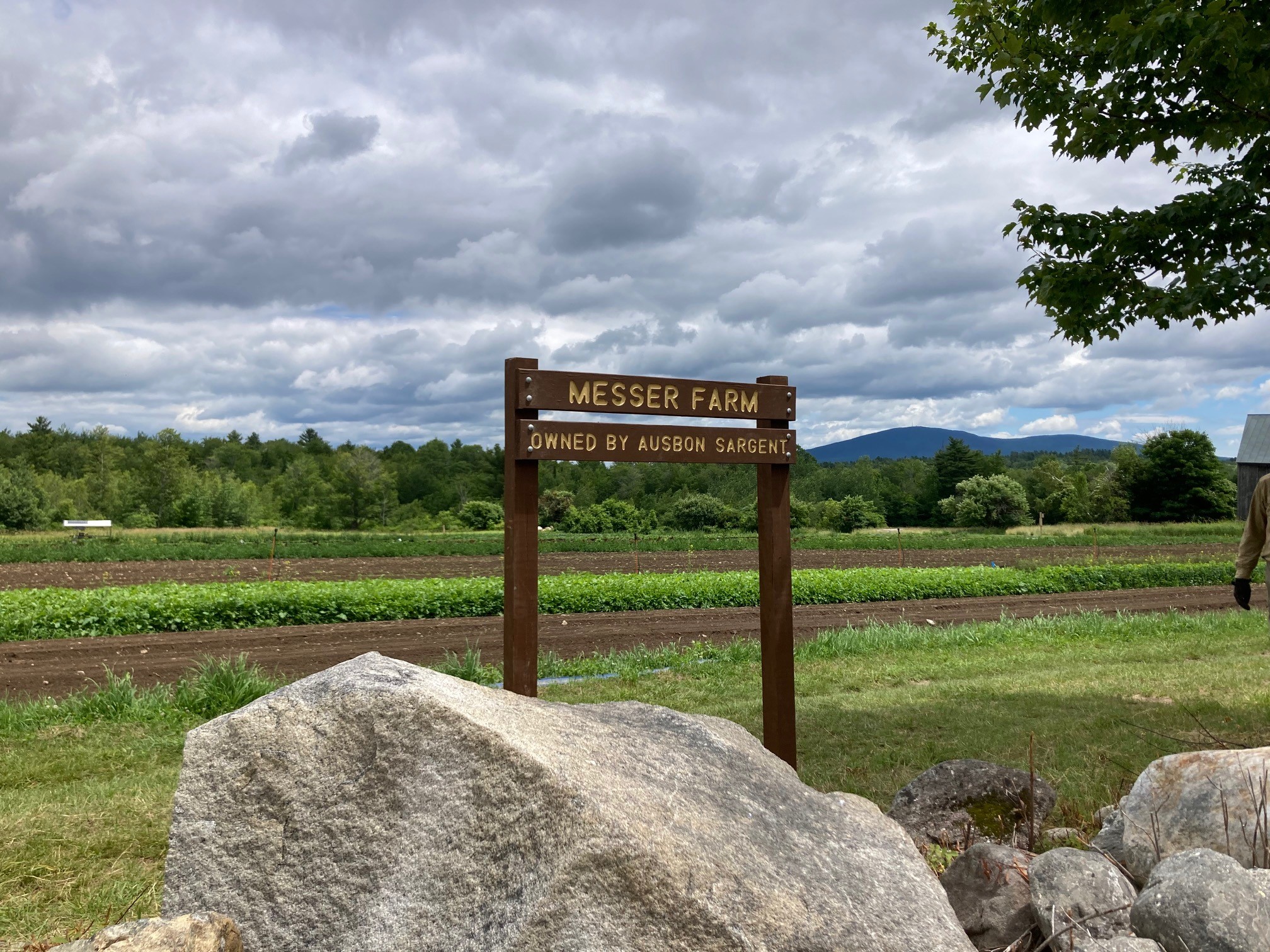 Messer Farm Protected by a Conservation Easement 