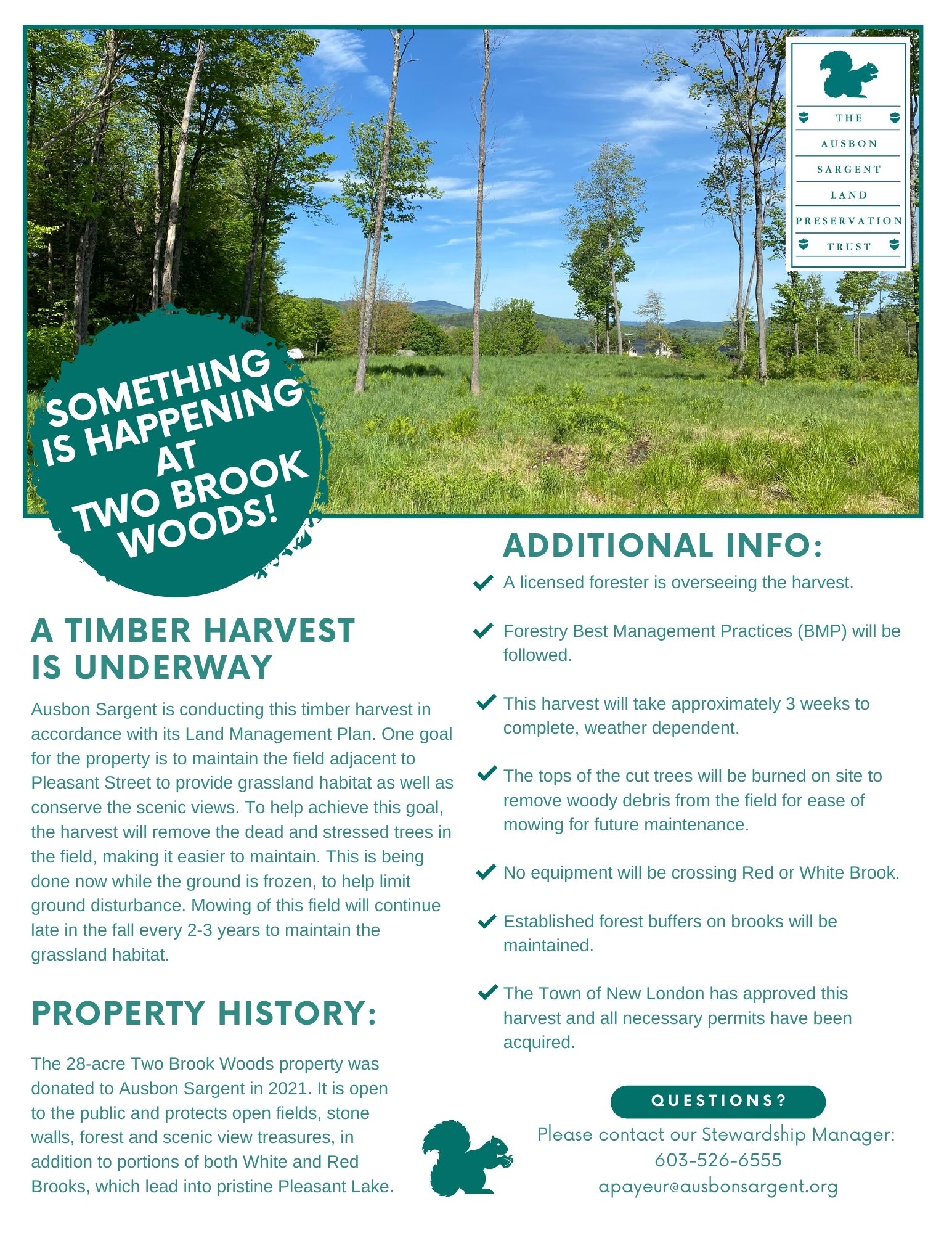 Notice of Timber Harvest at Two Brook Woods - January, 2024