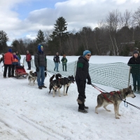 As the riders orgaized their dogs and sleds for the ride.