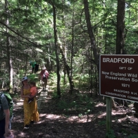 For our final summer event in August, we had a great hike through the Bradford Bog. 