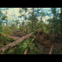 Embedded thumbnail for The Brown Family&amp;#039;s Frazier Brook Farm--Storm of 2018