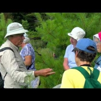 Embedded thumbnail for 2019-A Dragonfly Walk at the Sawyer Brook Headwaters Property