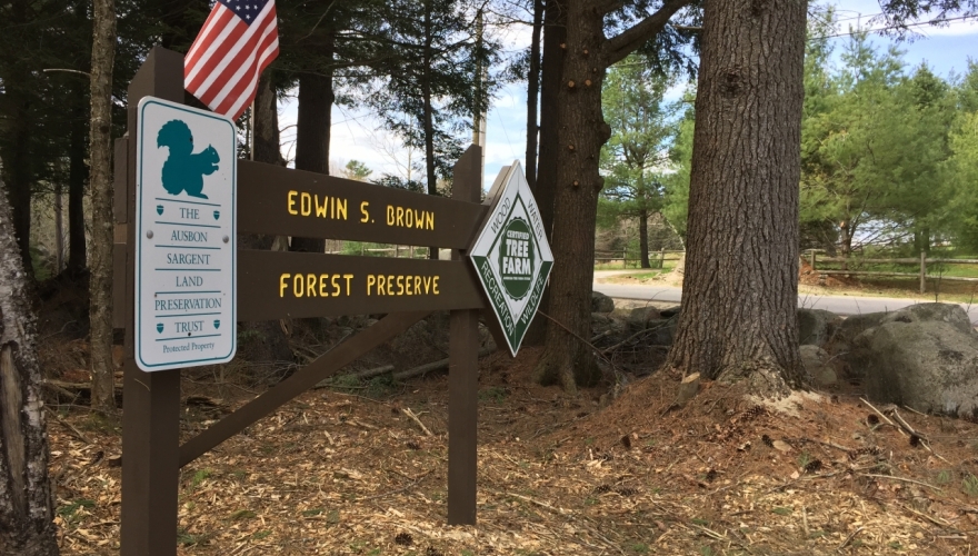 Edwin S. Brown Forest Preserve